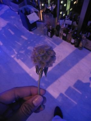 IwSwyohRbMwfccI's profile picture. 