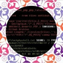 ia_infosec's profile picture. DFIR