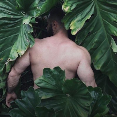 Maloxiloto's profile picture. 