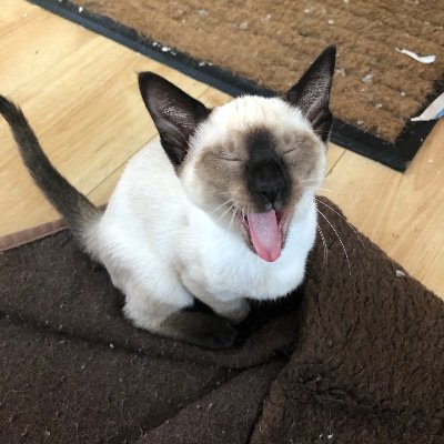 Elliechristie10's profile picture. 