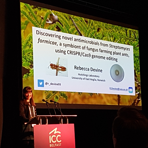 r_devine93's profile picture. BBSRC Discovery Fellow @JohnInnesCentre interested in drug discovery, gene editing, gene regulation and AMR