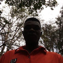 chrisiv42's profile picture. Web Developer💻. Musicologist🎻🎺. Manchester United 🟥