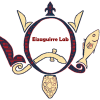 Eizaguirre Lab(@EizaguirreLab) 's Twitter Profile Photo