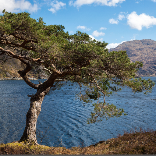 Modelling & Evidence Senior Manager covering flood and drought modelling, mapping and advice in Scotland. All views my own.