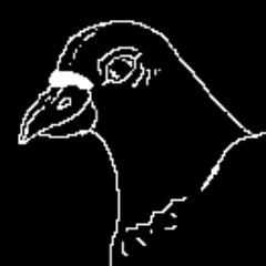 Dia23do6's profile picture. 