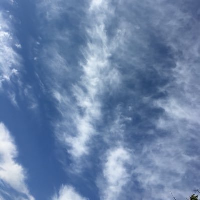 clearly_cara's profile picture. Take this pink ribbon off my eyes.    👁🎀👁