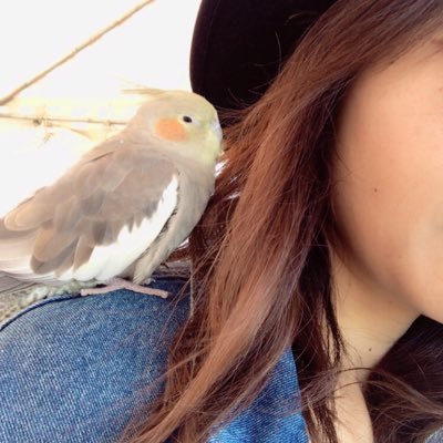 toumorico_fukui's profile picture. ママさんバレー　娘2人大学生　バレー　 ハイキューとドリカムに敏感に反応します PP会員 2025大阪東京ウラワンベイビーズ