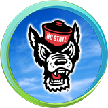 Providing real-time weather data for NC State's Doak Baseball Stadium and surrounding neighborhoods.