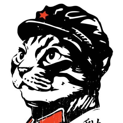 Obey the Kitty (Only Semi-Serious). This is a personal opinions account. Unless explicitly stated otherwise, tweets are personal not professional opinions.