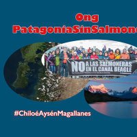 PatagoniaSinSalmoneras(@PSalmoneras) 's Twitter Profile Photo