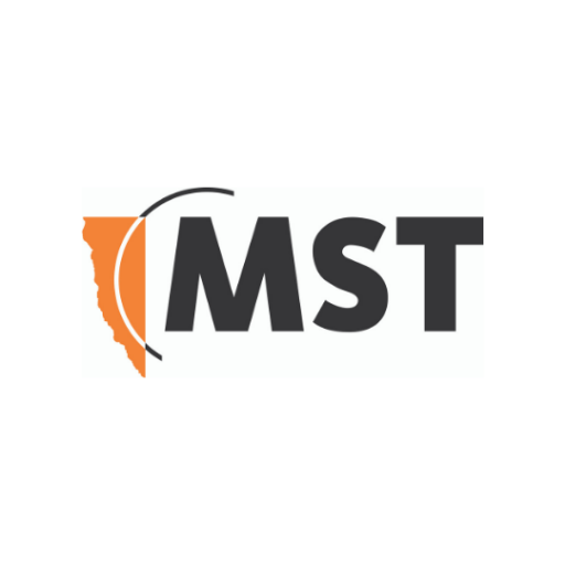 MST Global