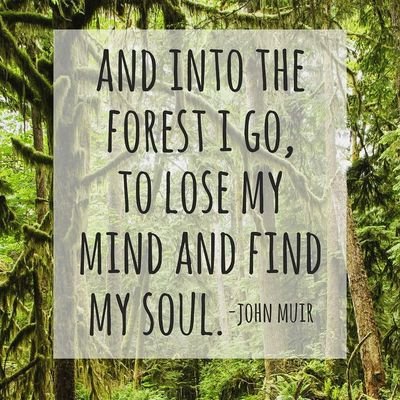 dazy321's profile picture. 