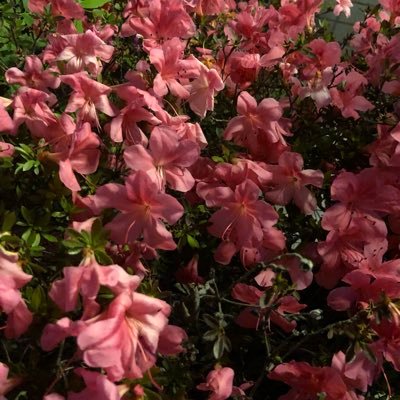 kkkklwar's profile picture. 