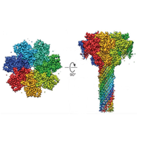 The Zhou Lab (@zhou_lab) 's Twitter Profile