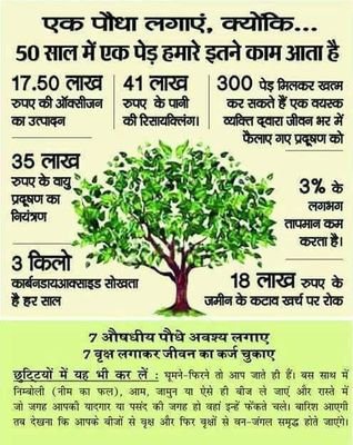 AmreshK41615663's profile picture. india