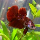 Rachael key - @Rachaelkey14 - Twitter