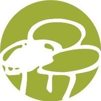 Colegio Tres Olivos (@coletresolivos) 's Twitter Profile