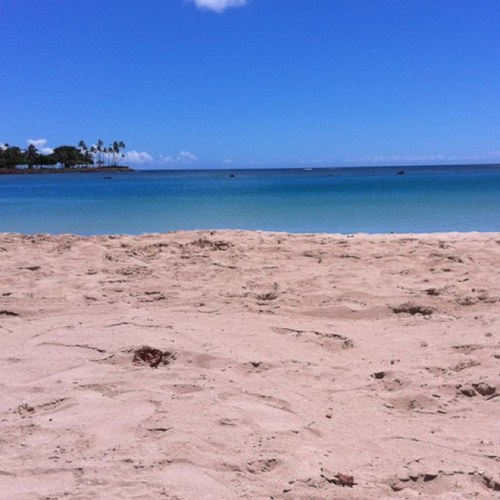 KDUBBZ's profile picture. I'm just tryna stay above water y'know!