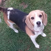 brocco (@_brocco_) 's Twitter Profile