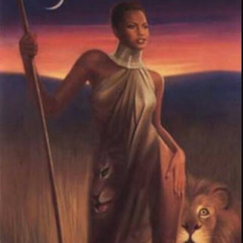 P7prospers's profile picture. All about truth and freedom
(https://t.co/K9902f8MjU)