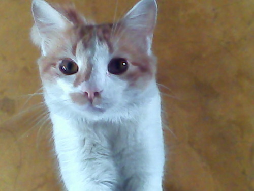 miguehval's profile picture. 