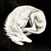 🕯️𝕮𝖆𝖓𝖎𝖘𝕬𝖑𝖇𝖚𝖘🕯️ (@kalpeakoira) Twitter profile photo 🕯️𝕮𝖆𝖓𝖎𝖘𝕬𝖑𝖇𝖚𝖘🕯️ (@kalpeakoira) Twitter profile photo