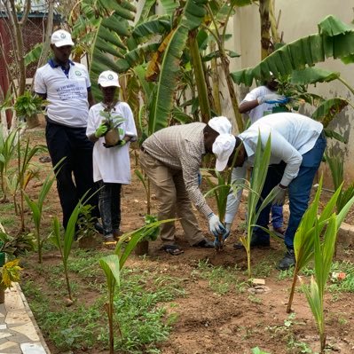 BlueTea39009639's profile picture. 