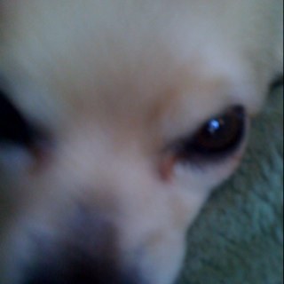 juliettetorrez's profile picture. 