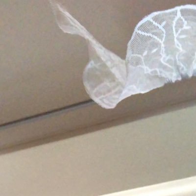 romanholigayy's profile picture. 