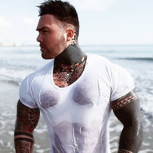 falconnl1's profile picture. Dutch man