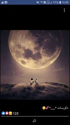 Ibrahim23405842's profile picture. nothing