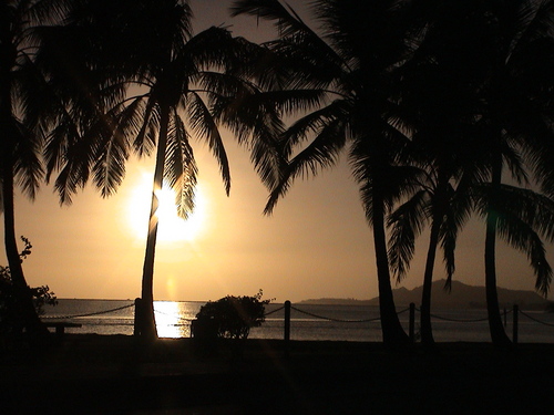 toyoko1553's profile picture. 