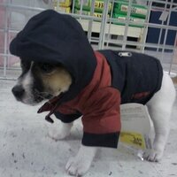 There was one? (@dkrules1) 's Twitter Profile