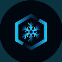 Iced Out Servers (@icedoutservers) 's Twitter Profile