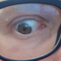 Sean Kealey-Bennett #sicSemperTyrannis (@bennettkealey) 's Twitter Profile