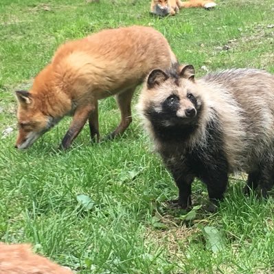 yamagiwa0315's profile picture. 