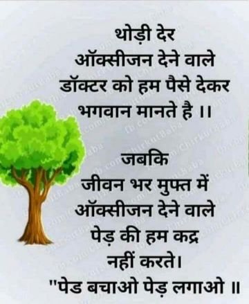 Anil