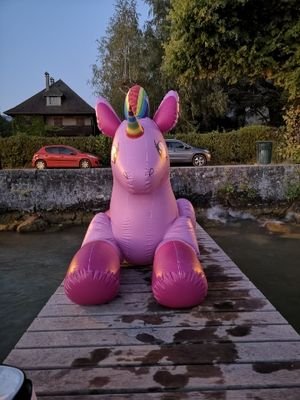 🇨🇵French. 😃Enthusiast collector of inflatables. Owner of miniature horses even if that doesn't have much to do with it. 😁