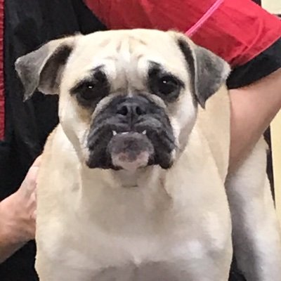 pizana_orlando's profile picture. Still fighting like Ms. Sofia!