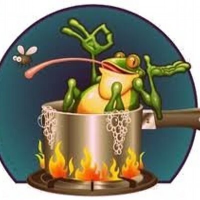 Slowly Boiled Frog 🏳️‍🌈(@davidcaryhart) 's Twitter Profile Photo