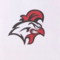 VHS Softball Program (@programvhs) 's Twitter Profile