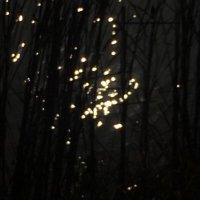DRosA (@drosaxx) 's Twitter Profile Photo DRosA (@drosaxx) 's Twitter Profile Photo