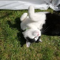 Carol Brock (@carolbrock66) 's Twitter Profile Photo Carol Brock (@carolbrock66) 's Twitter Profile Photo