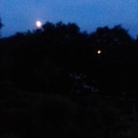 Le Gouguec (@legouguec9) 's Twitter Profile