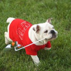 GWU Alumni Relations Profile