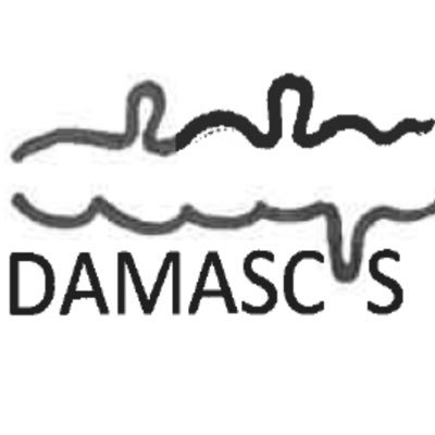 DAMASCUS_Study Profile Picture