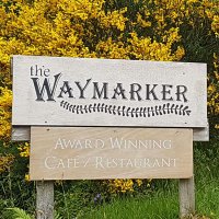 The Waymarker(@TheWaymarker) 's Twitter Profile Photo