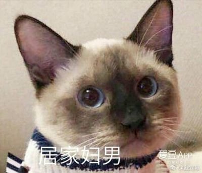 summer2609's profile picture. TAKE RISKS, MAKE MISTAKES AND LEARN FROM THEM. LIT UP THE YOLO SPIRIT #RULEBREAKER #YOLO