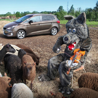 Niko Kettunen 🦊 (@jfkettunen) 's Twitter Profile Photo