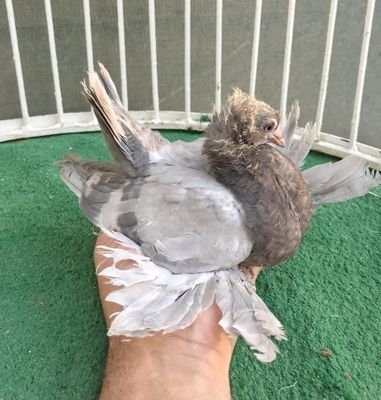 21Iaw6cS0wkS4ri's profile picture. 